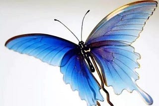 Butterflies: The ultimate icon of our fragility