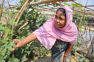 A greener future in Bangladesh