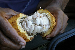 Fiji Cocoa Suppliers’ development Program