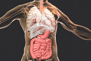 Gut Dysfunction Isn’t Just About Bloating — It’s a Systemic Issue That Can Reshape Your Entire…