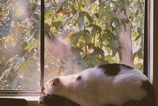 i didn’t realize it was autumn already.