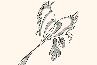 Illustration of a Venus Flytrap. Illustration by @a_little_bit_of_angel