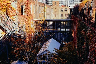 Window view of the open-air atrium with vines/greenery at 401 Richmond St. West, a heritage building in downtown Toronto.