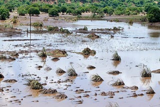 2014 Floods in Malawi