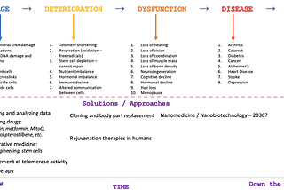 The Life Extension Revolution: Theories of Aging