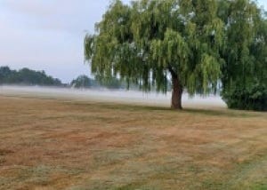 Paraclete — the Family Attorney