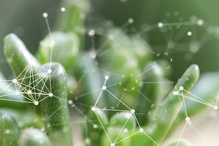 Abstract photo of network nodes overlayed on a plant
