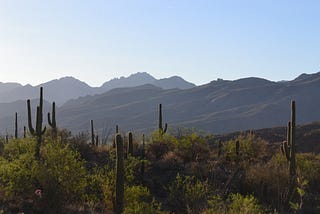 Living and Dying in the Desert