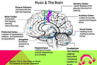 Discoveries on the Biological influence of Music