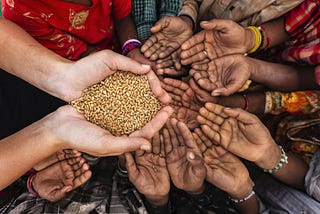 The specter of a global food crisis: what can happen now?