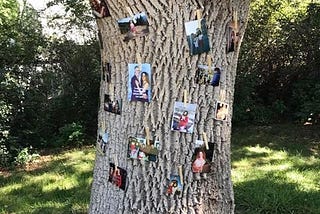 The Six Pillars of Gratitude