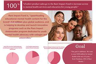 Fact Sheet Reflection