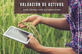 Cuánto vale tu campo?