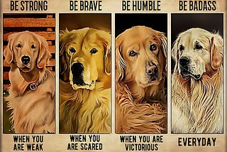 BEST Golden retriever be strong be brave be humble be badass poster