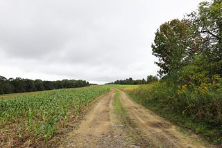 a dirt road winds through an open farm field and trees in the distance