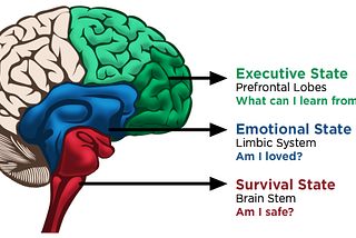 How badly our brain processes bad feedback… and how to do it right