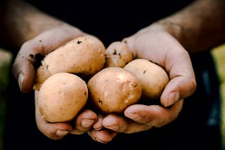 We are fucking potatoes!