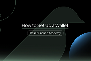 Baker Academy: How To Set Up A Wallet -d- BNB Chain Edition