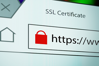 A Secure Journey Through the Digital World: Identifying Trustworthy Sites with HTTPS