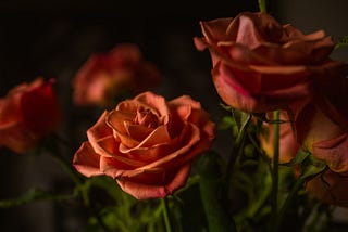 Roses & Romance