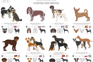 Hunting Dog breeds