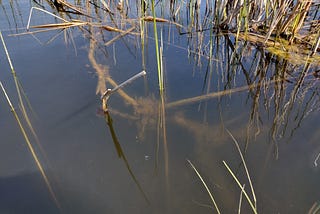 Thalassophobia