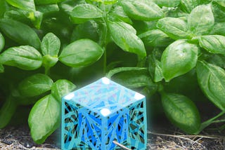 Tesseract Roots
