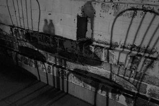 The World Is Built on Quiet Things