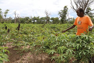 Building Climate Resilience in Africa