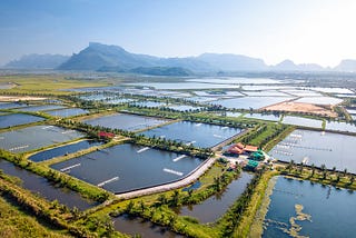 Is the Rise of Aquaculture a Positive Development for Marine Conservation and Management?