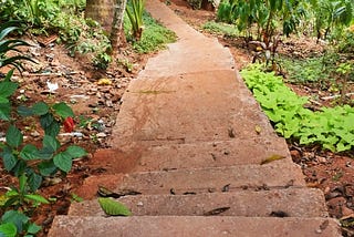 Kerala Ayurvedic Herbal & Spices Garden, Munnar, Kerala Visit, Travel Guide — visiting ayurveda…