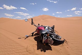 The Monkey Run Morocco