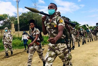 From Basma to Ethiopia: Is TPLF Fighting for Regime Change or Regime Attenuation in Ethiopia?