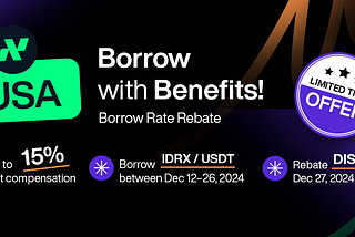 BORROW RATE REBATE