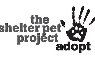 How The Shelter Pet Project is dressing up pets, changing minds and saving lives.
