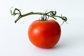 A Tomato Grows at Ground Zero