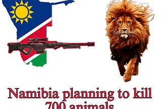 The Government of Namibia Ordered More than 700 Animals to kill, why?
