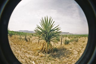 Appreciating Marfa