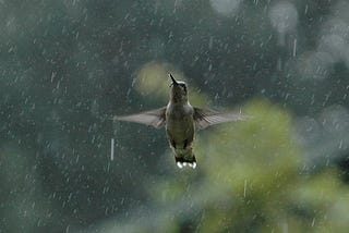 Emotions of Rain