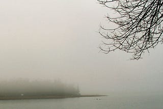 A picture of an island in the fog, a bare tree branch in the foreground.