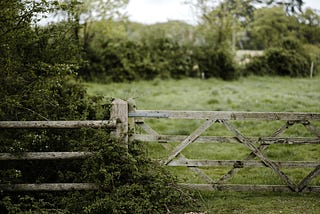 A green, leafy hedgerow and field, viewed through a faded wooden gate.