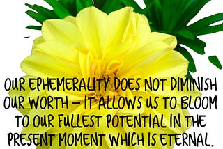 Ephemerality and The Power of Now