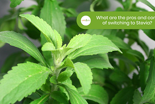 What are the pros and cons of switching to Stevia?