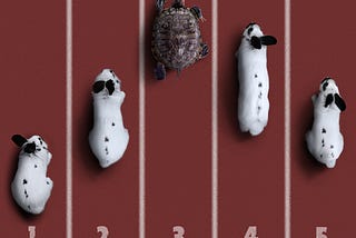 Photo of tortoise beating for rabbits in racing lanes