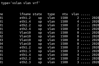 Output of interface show for virtual networks