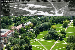 The Shortcut is the Data: Why Cutting Corners Reveals Our Best Design Flaws