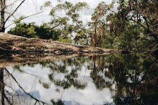 Minyon Falls— Australia