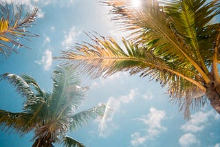 Is This the New Tropics?