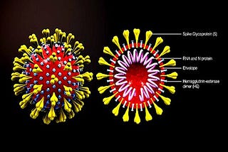 Should You Worry About The New Omicron Virus?