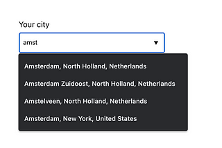 Create a Simple City Autocomplete Field in React